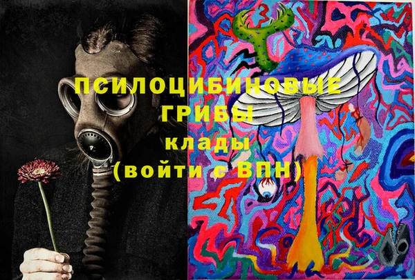 дживик Болхов