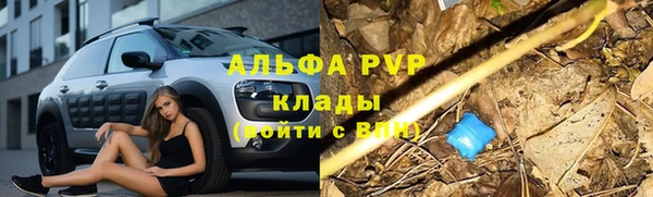 ПСИЛОЦИБИНОВЫЕ ГРИБЫ Нея