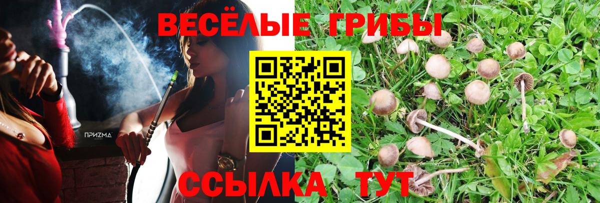 Псилоцибиновые грибы мухоморы Тавда