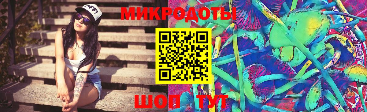 Псилоцибиновые грибы мицелий Тавда