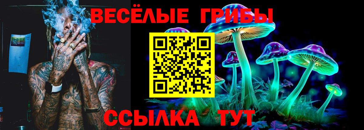 где купить наркоту  Галлюциногенные грибы ЛСД  Вход с VPN  Тавда 